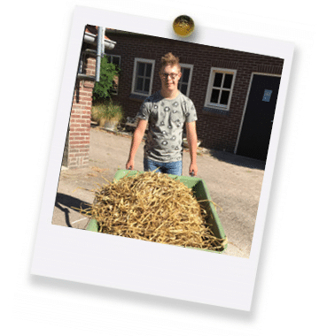 stro hokje peelwerker